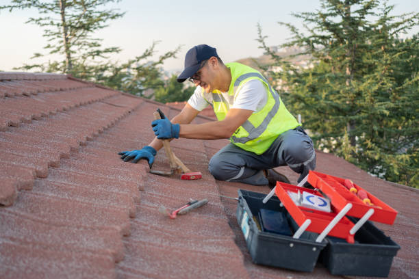 Best Roof Waterproofing Services  in Alexander, AR